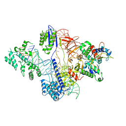 BU of 6rj9 by Molmil