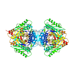 BU of 6rkc by Molmil