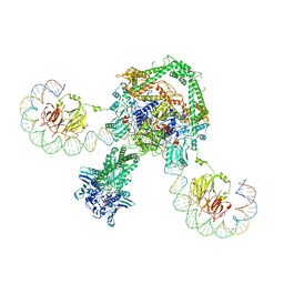 BU of 6rkw by Molmil