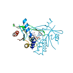 AU of 6rm0 by Molmil