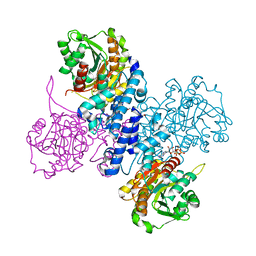 BU of 6rmd by Molmil