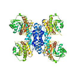 BU of 6rme by Molmil