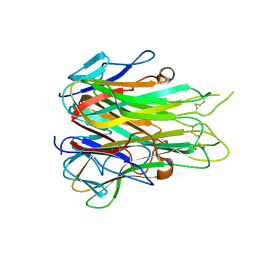 BU of 6rmj by Molmil