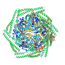 BU of 6rn2 by Molmil