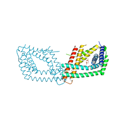 BU of 6rn5 by Molmil