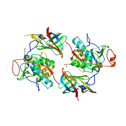 BU of 6rn6 by Molmil