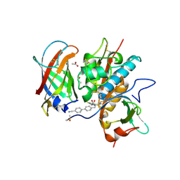 BU of 6rn9 by Molmil