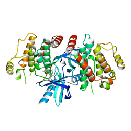 AU of 6rna by Molmil