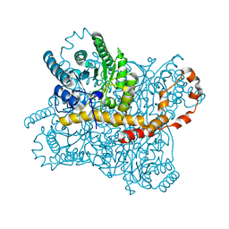 BU of 6rnf by Molmil