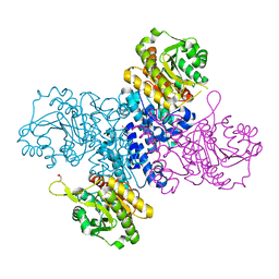 BU of 6rnh by Molmil