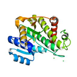 BU of 6rnv by Molmil