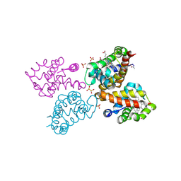 BU of 6rp5 by Molmil