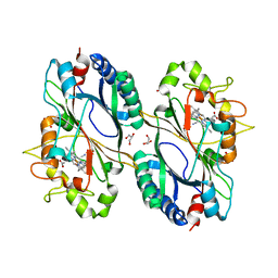 BU of 6rpd by Molmil