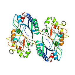 BU of 6rpe by Molmil