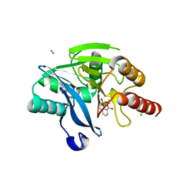 BU of 6rpn by Molmil