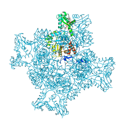 BU of 6rpu by Molmil