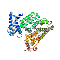 BU of 6rq7 by Molmil