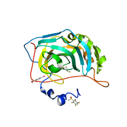 BU of 6rri by Molmil