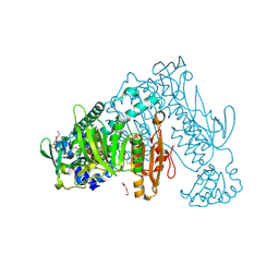 BU of 6rtm by Molmil