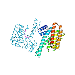 BU of 6rx2 by Molmil