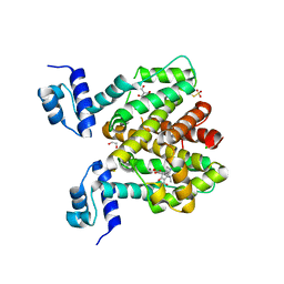 BU of 6rxb by Molmil