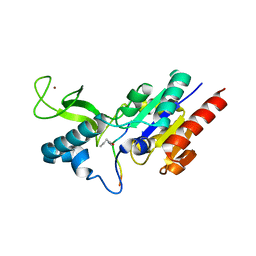 BU of 6rxk by Molmil