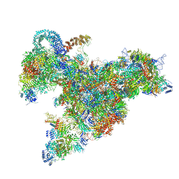 BU of 6rxz by Molmil