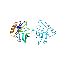 AU of 6rys by Molmil