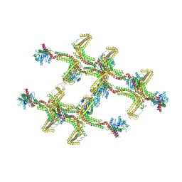 BU of 6rzw by Molmil