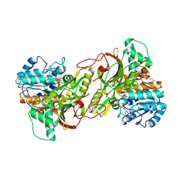 BU of 6s49 by Molmil