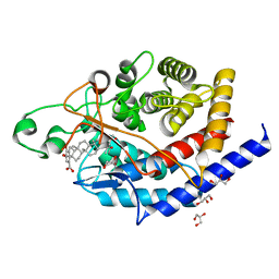 BU of 6sbd by Molmil