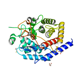 BU of 6sbf by Molmil