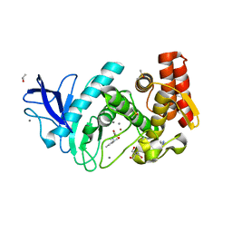 BU of 6sbk by Molmil