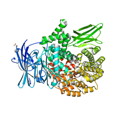 BU of 6sbq by Molmil