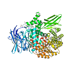 BU of 6sbr by Molmil