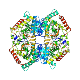 BU of 6sbv by Molmil