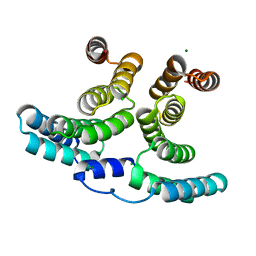 BU of 6scb by Molmil