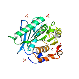 BU of 6scd by Molmil