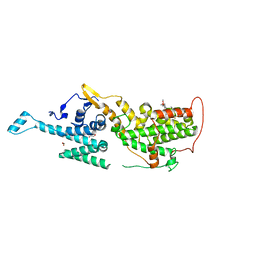 BU of 6scm by Molmil