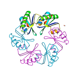 BU of 6scr by Molmil