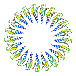 BU of 6sd2 by Molmil