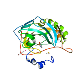 BU of 6sdh by Molmil