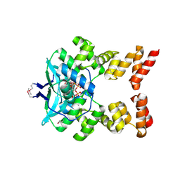 BU of 6sdk by Molmil