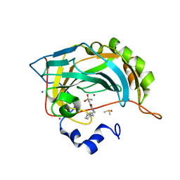 BU of 6sdl by Molmil