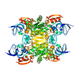 BU of 6sdm by Molmil