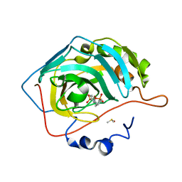 BU of 6sds by Molmil