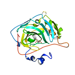 BU of 6sdt by Molmil