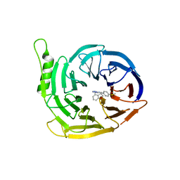 BU of 6sfc by Molmil