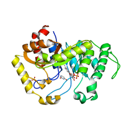 BU of 6sgl by Molmil