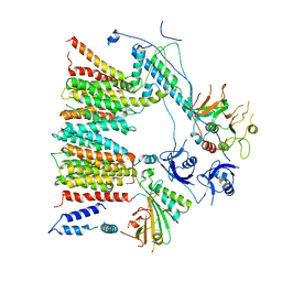 BU of 6sgx by Molmil